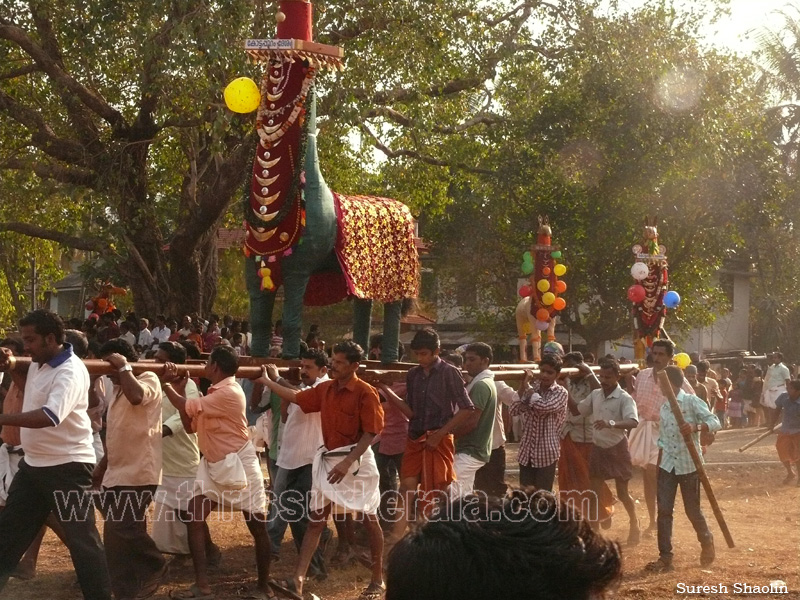 mangad-pooram-2012 (21)